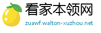 看家本领网